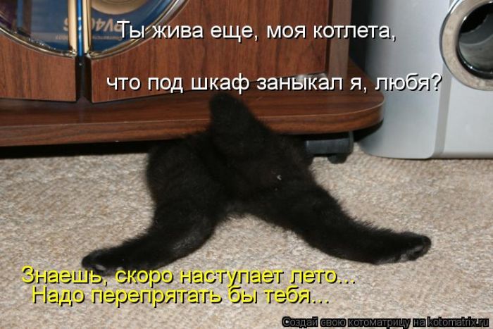 VFL.RU -  
