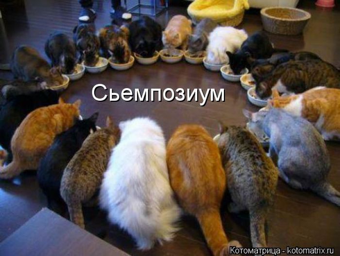VFL.RU -  