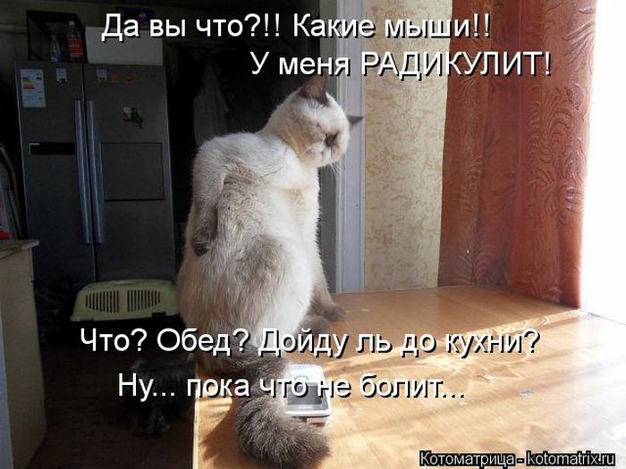 VFL.RU -  