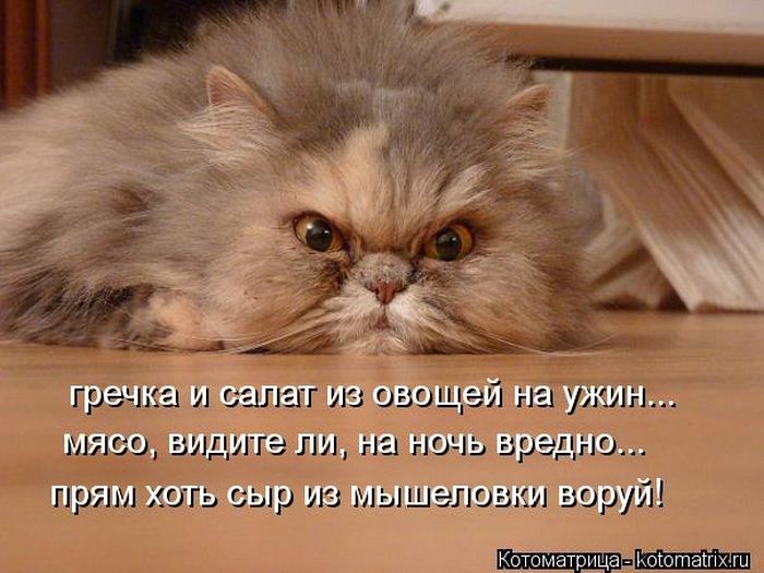 VFL.RU -  