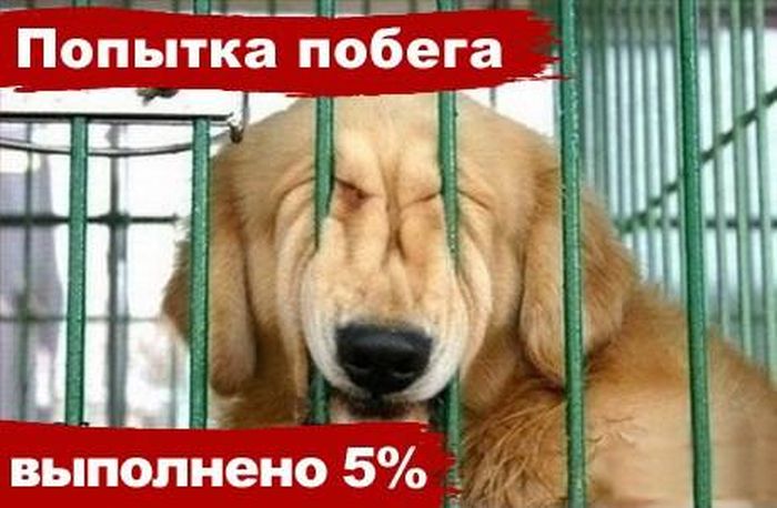 VFL.RU -  