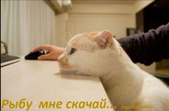 VFL.RU -  