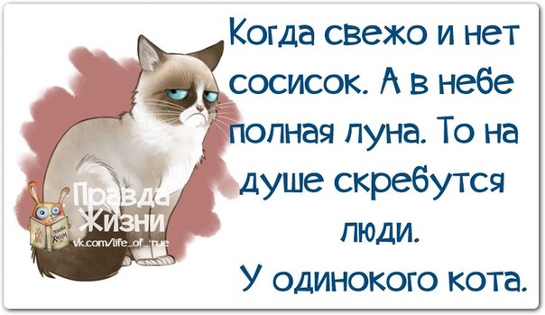 VFL.RU -  