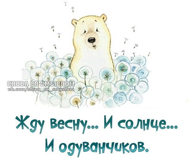 VFL.RU -  