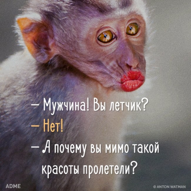 VFL.RU -  