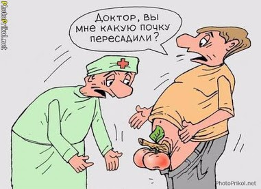 VFL.RU -  