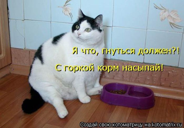 VFL.RU -  