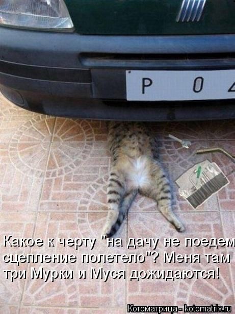 VFL.RU -  