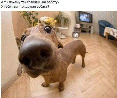 VFL.RU -  