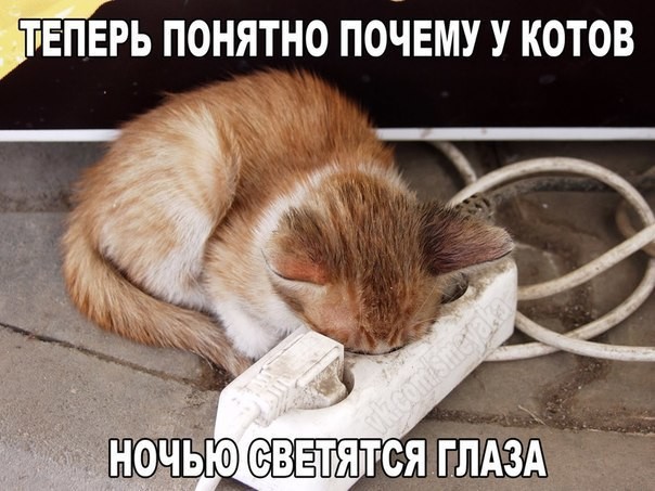 VFL.RU -  