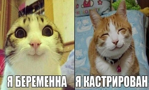 VFL.RU -  