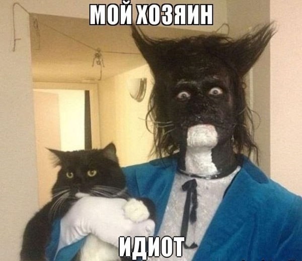 VFL.RU -  