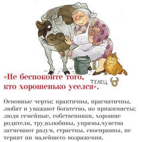 2 телец