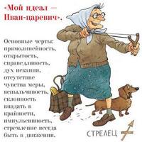 9 стрелец