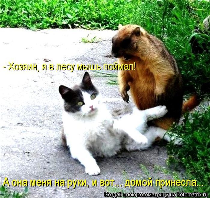 VFL.RU -  
