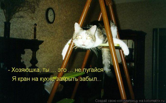 VFL.RU -  