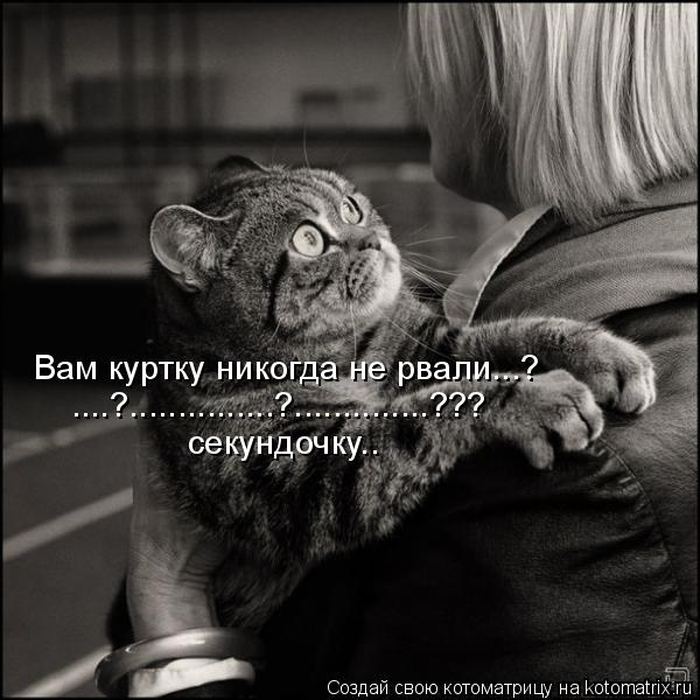 VFL.RU -  