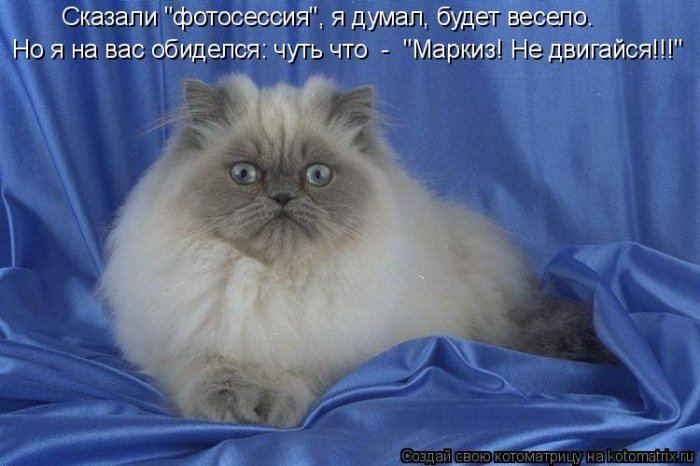 VFL.RU -  