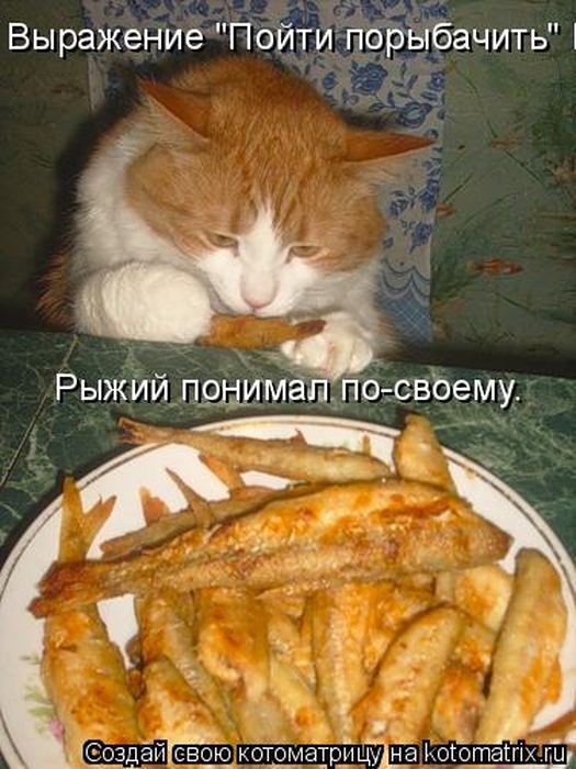 VFL.RU -  