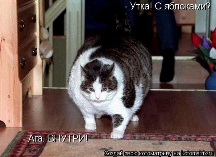 VFL.RU -  