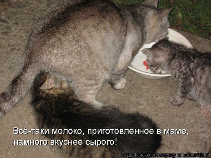 VFL.RU -  