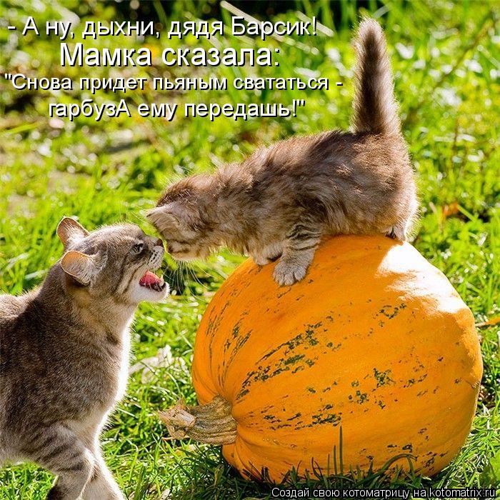 VFL.RU -  