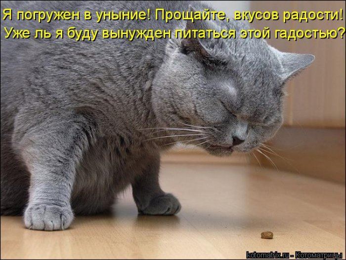 VFL.RU -  