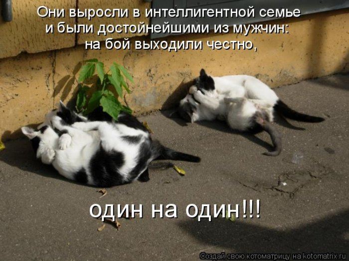VFL.RU -  