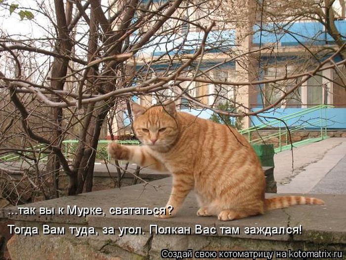 VFL.RU -  