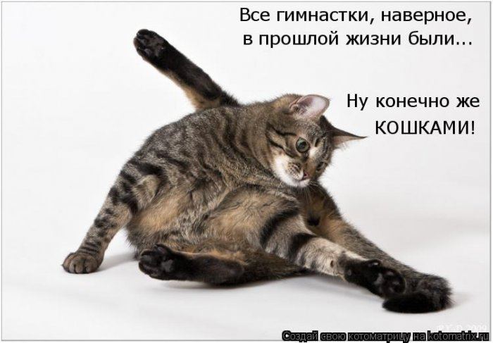 VFL.RU -  