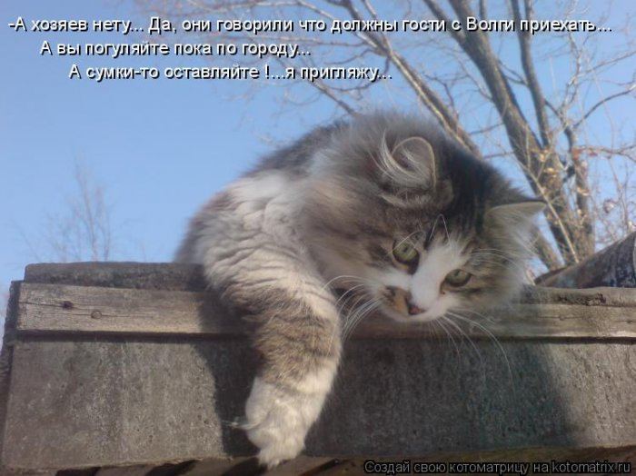 VFL.RU -  