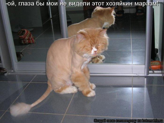 VFL.RU -  