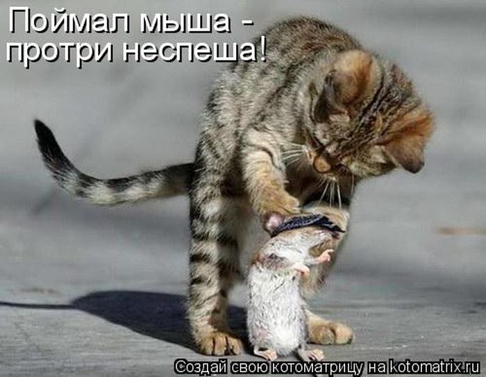 VFL.RU -  