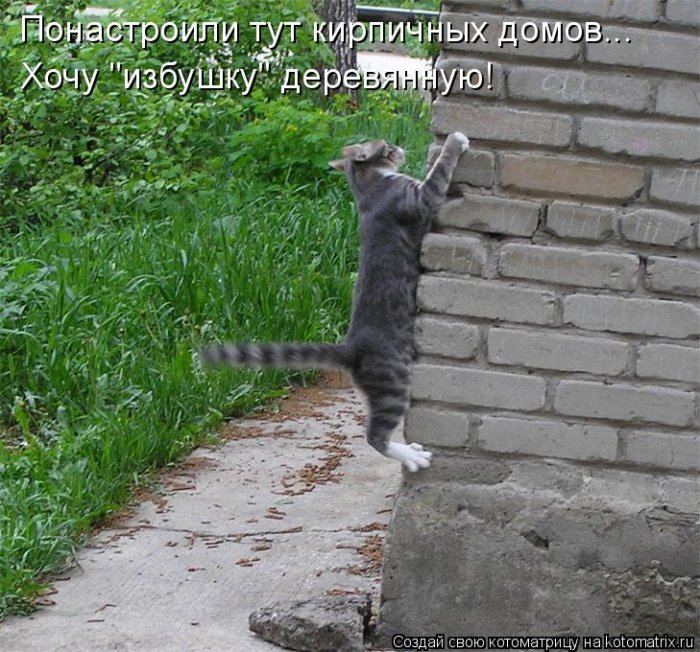 VFL.RU -  