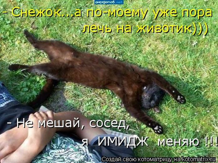 VFL.RU -  