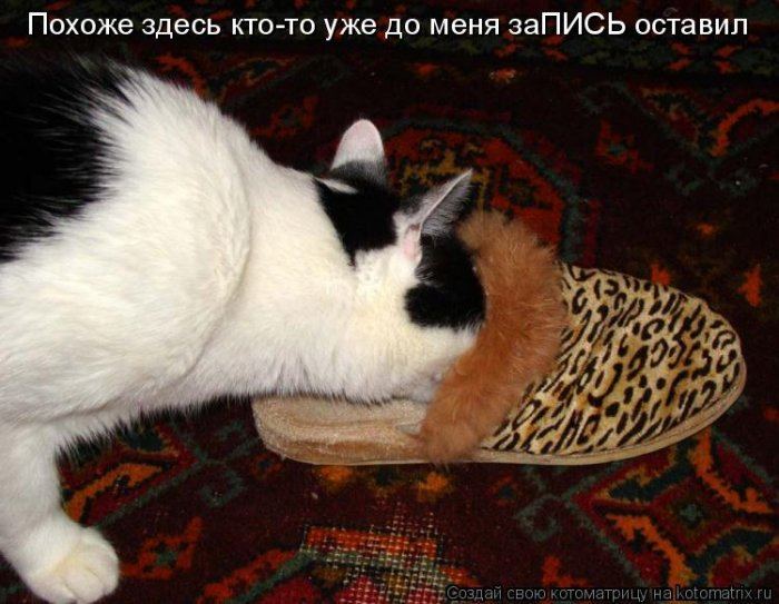 VFL.RU -  