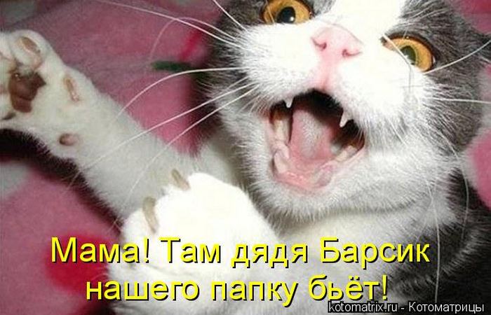 VFL.RU -  