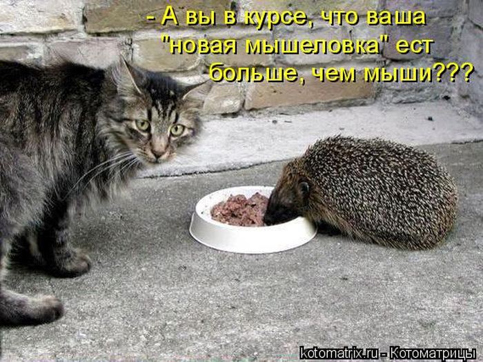 VFL.RU -  