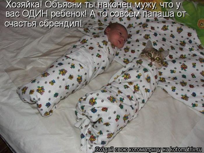 VFL.RU -  