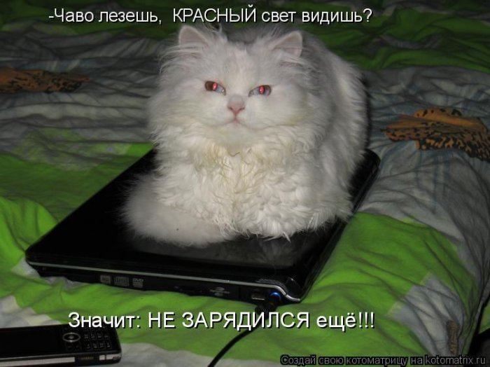 VFL.RU -  