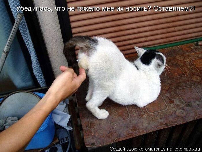 VFL.RU -  