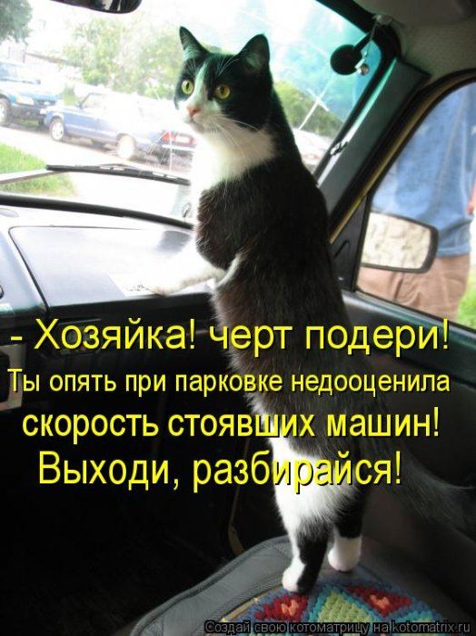 VFL.RU -  