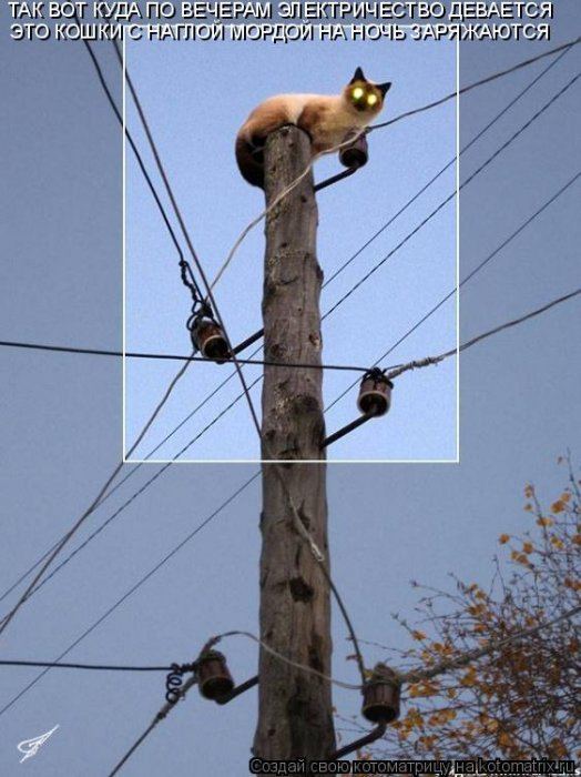 VFL.RU -  