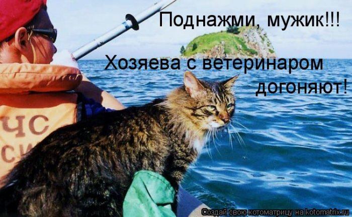 VFL.RU -  