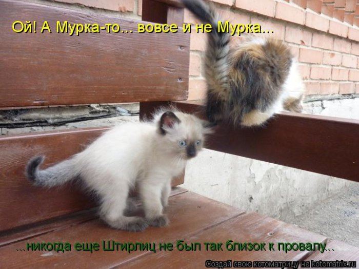 VFL.RU -  