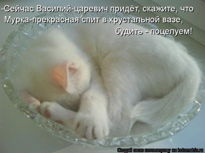 VFL.RU -  
