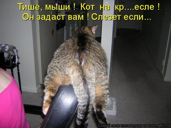 VFL.RU -  