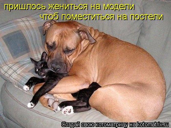 VFL.RU -  