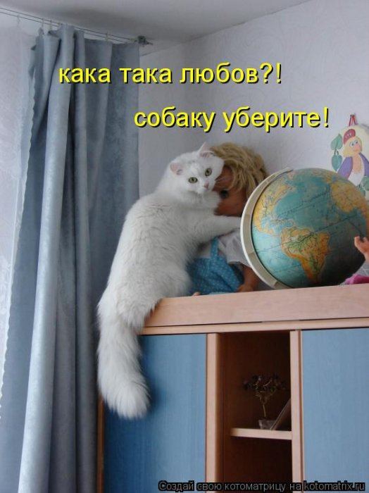 VFL.RU -  