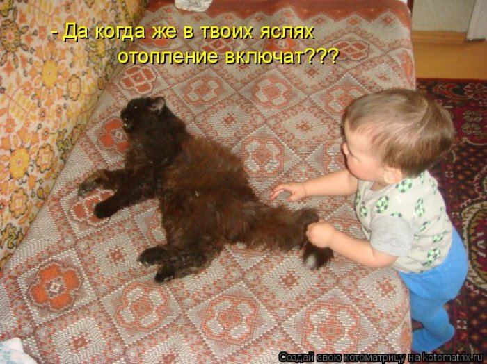 VFL.RU -  
